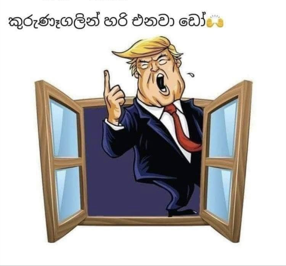 6FB7CA80-E0A1-40B9-A8D3-D83E80D238FD.jpeg