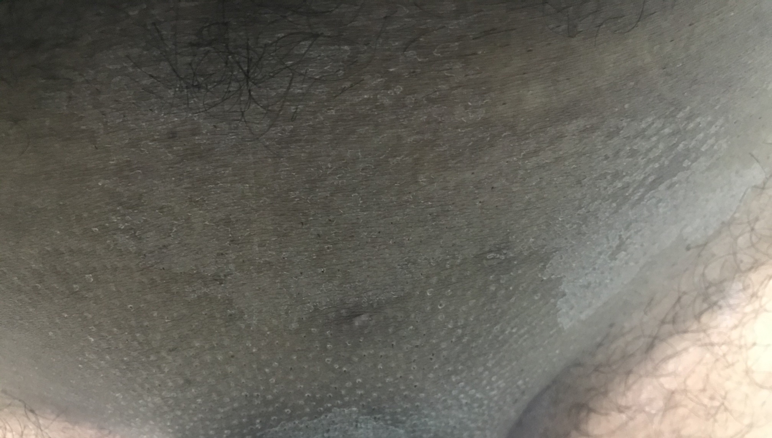76FD23AF-0DD8-48F2-9517-FA137DDF0247.jpeg