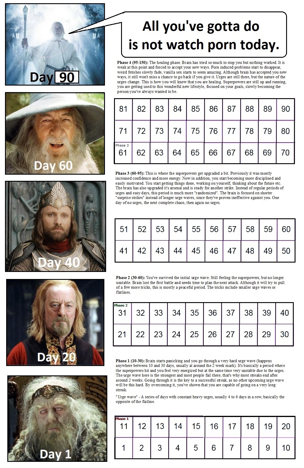 799381.jpg