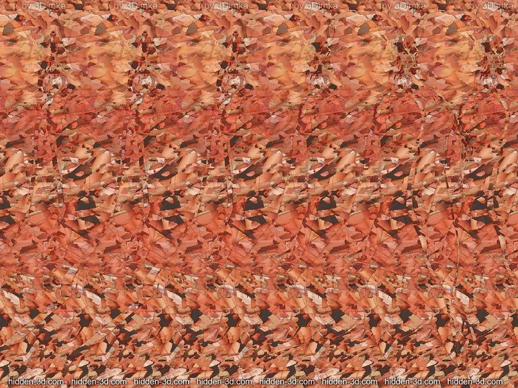 81496055.jpg