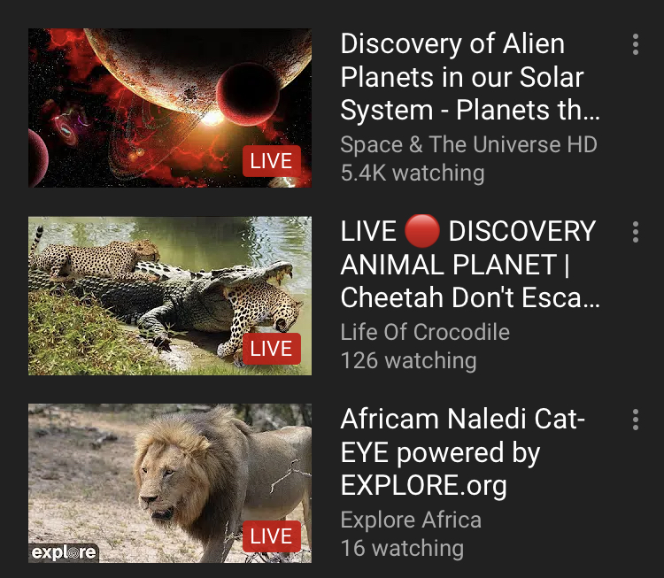 8513E4A0-E1FA-4BC6-80CF-72CE419D2ED7.jpeg