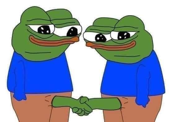 8552535.jpg
