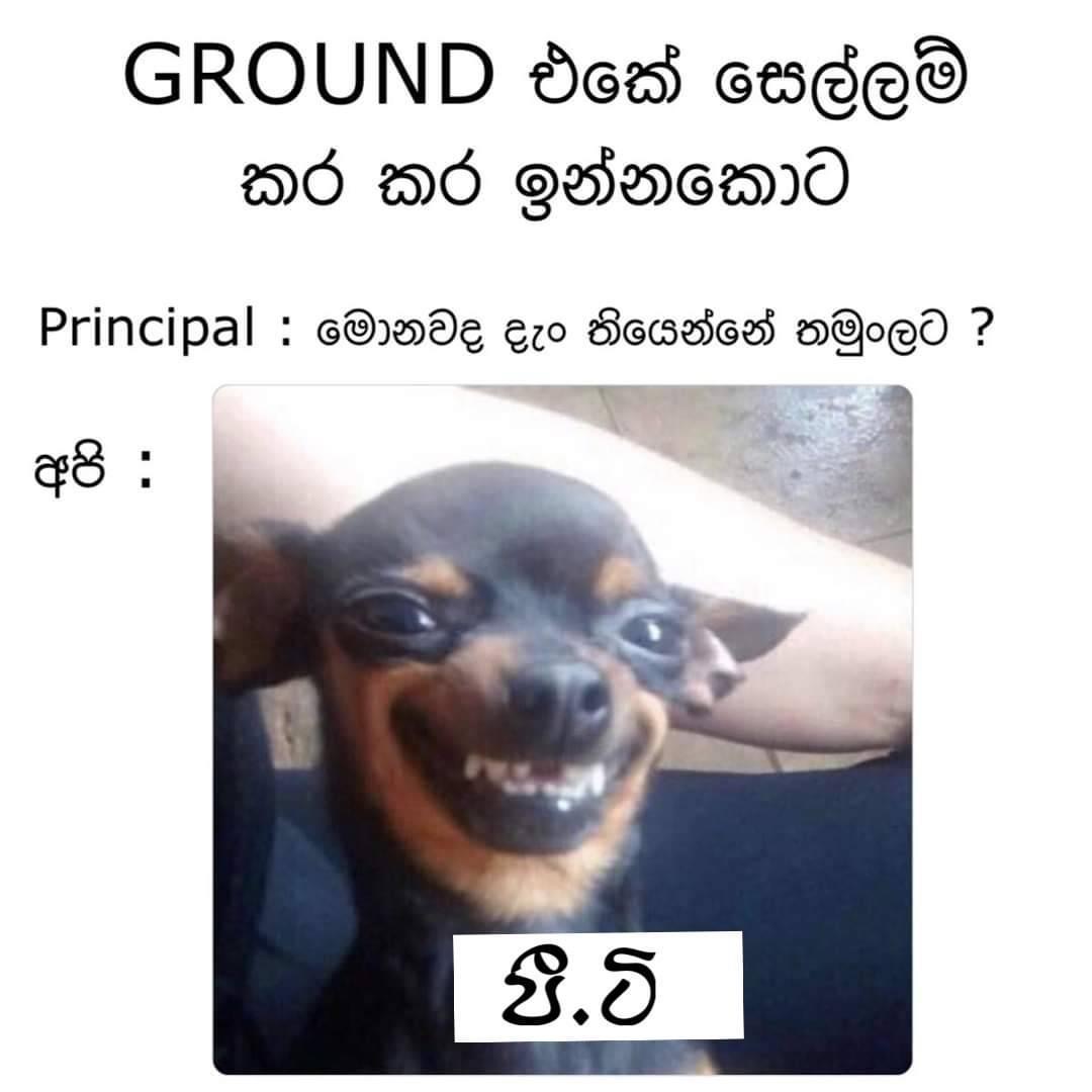 87D1F6B9-5A59-4F0F-B575-FAF39269A1E7.jpeg