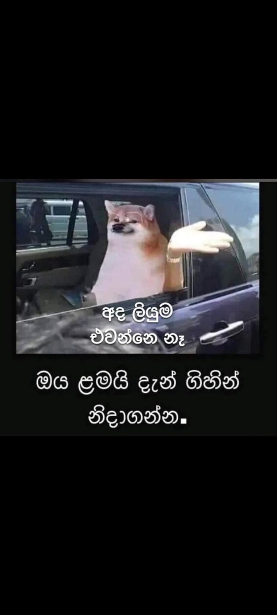 9EB23D85-FD94-402D-B4F5-13A7949F2A09.jpeg