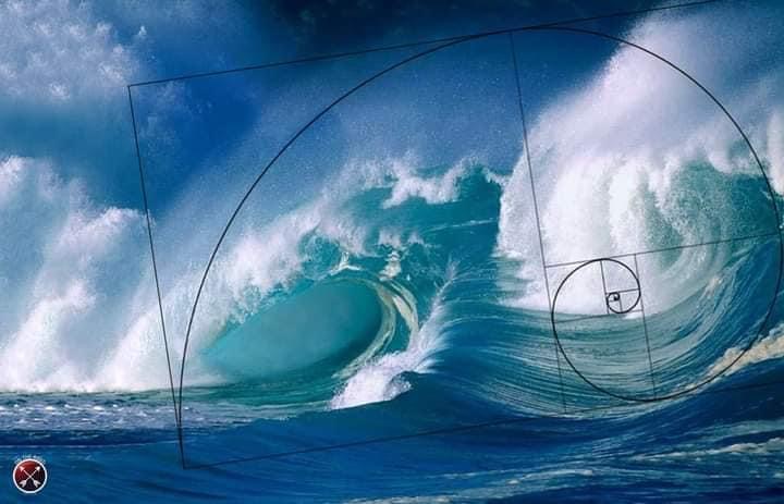 9EB4D3F5-0D2E-4012-83AC-C114EC0CA3B7.jpeg