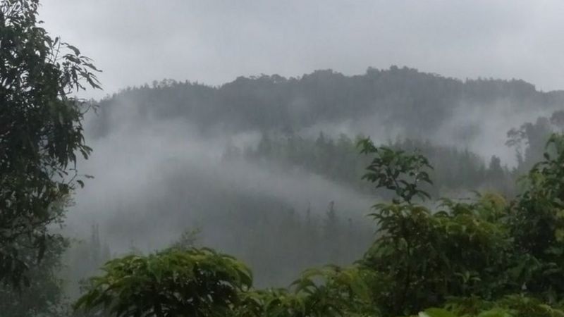 _114229696__102156974_c3a1a7ea-c799-44e6-840f-6d20e7fddf02.jpg