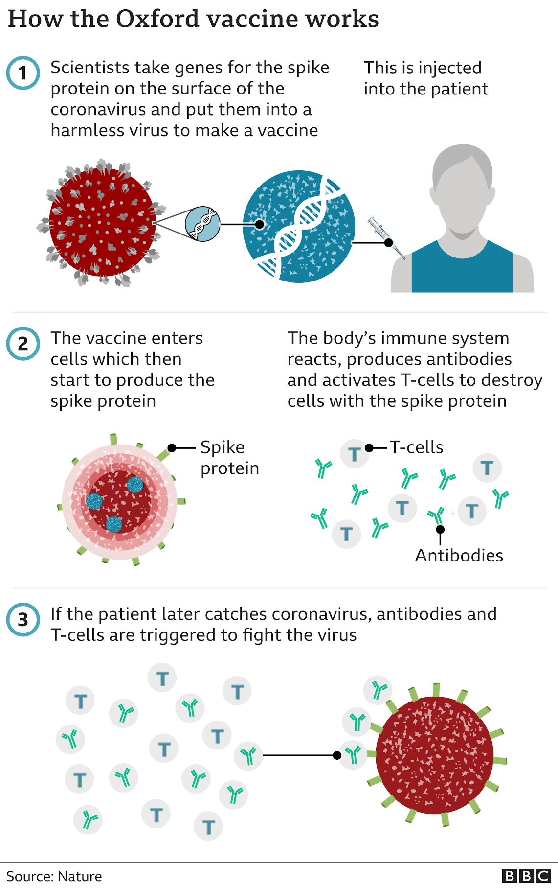 _116299941_oxford_coronavirus_vaccine_640_3x-nc.png