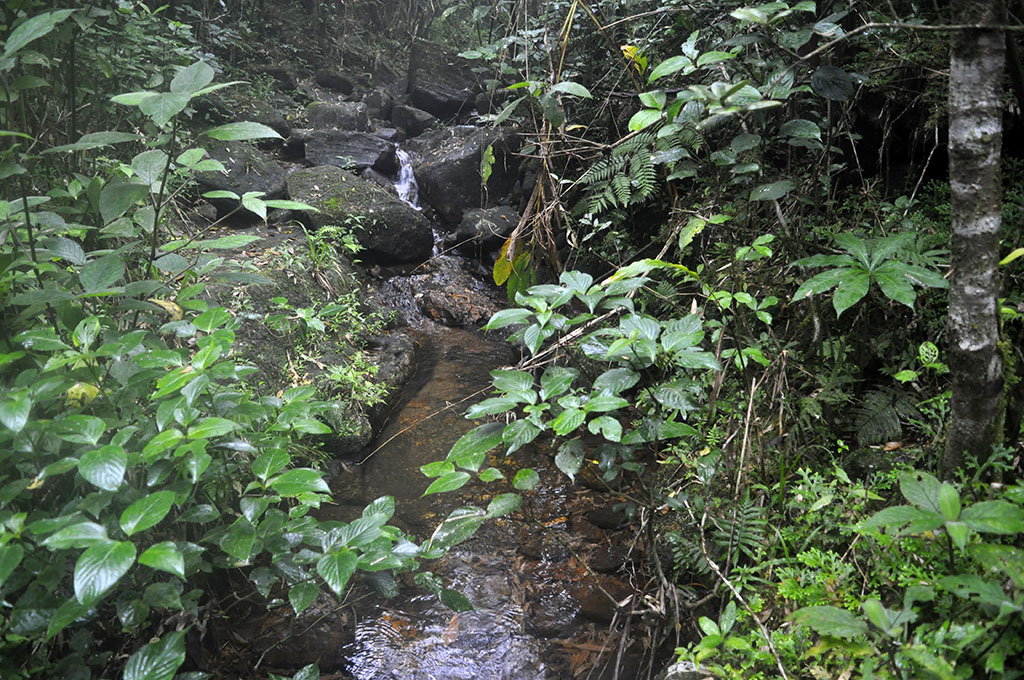 _DSC1498.jpg
