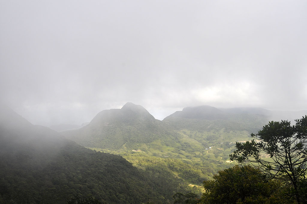 _DSC1502.jpg