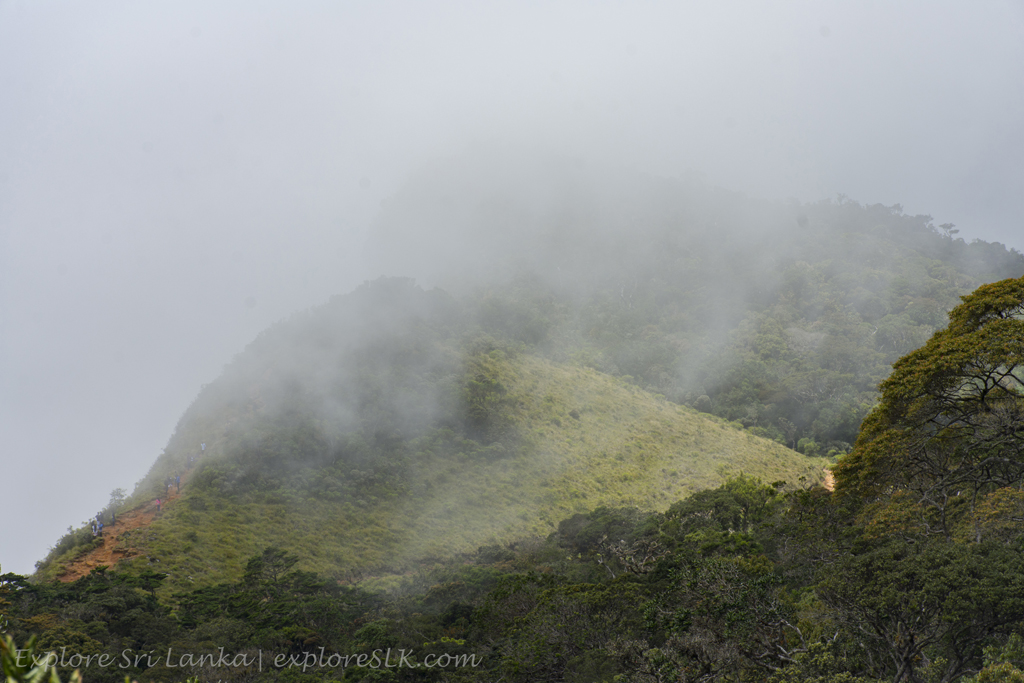 _DSC5044 copy.jpg