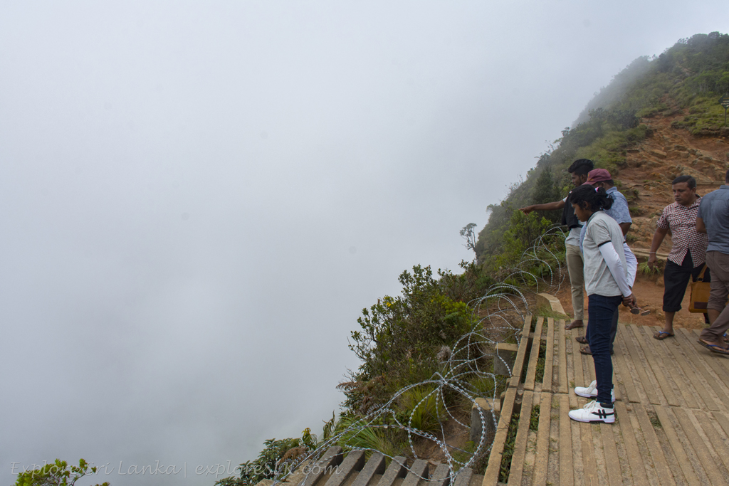 _DSC5063 copy.jpg
