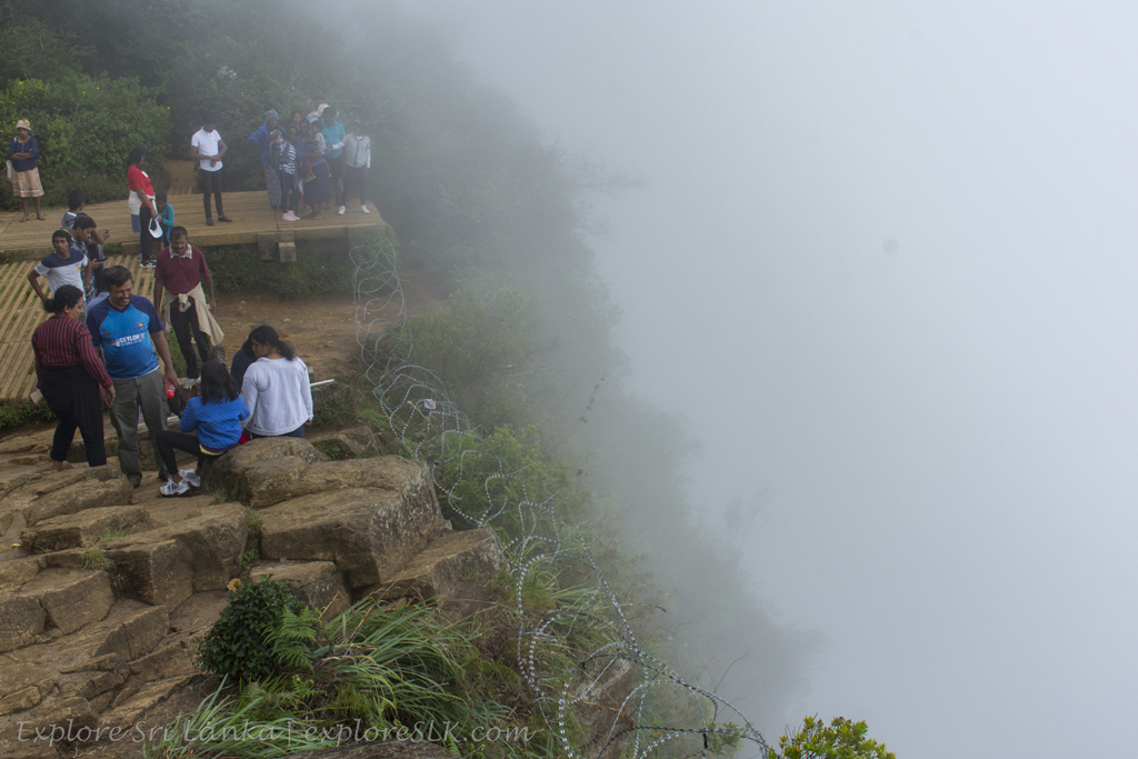 _DSC5121 copy.jpg