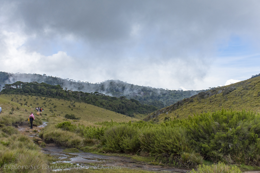 _DSC5170 copy.jpg
