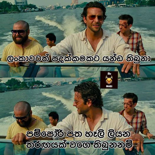 a.jpg