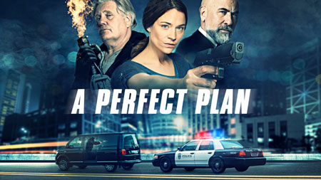 A-Perfect-Plan-cover.jpg