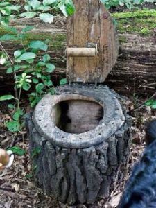a9a0780ef7ff2663d2be5bb1bf5f0537--tree-stumps-things-to-do.jpg