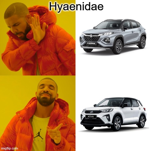 aadx1j.jpg