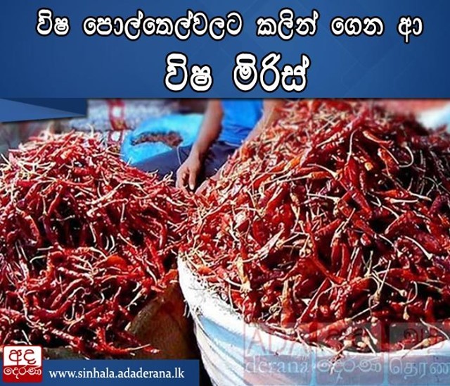 adaderana_sinhala_20210329_095125_0.jpg
