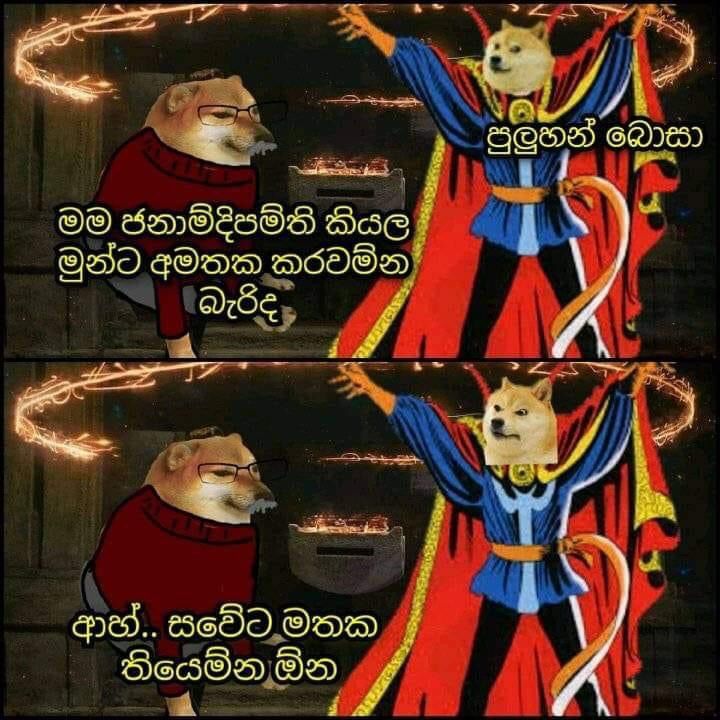 ahz7ov8kkbr81.jpg