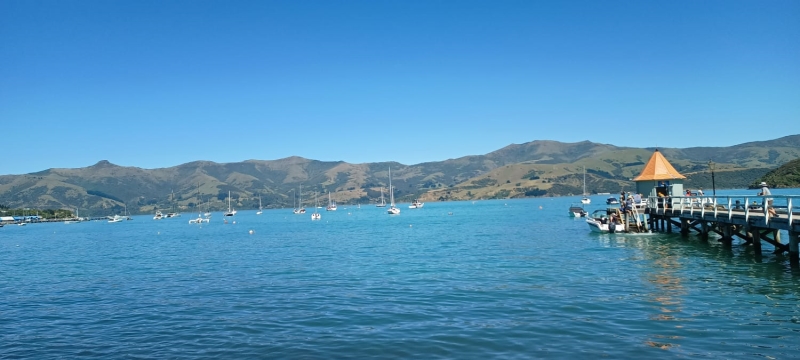 Akaroa1.jpg