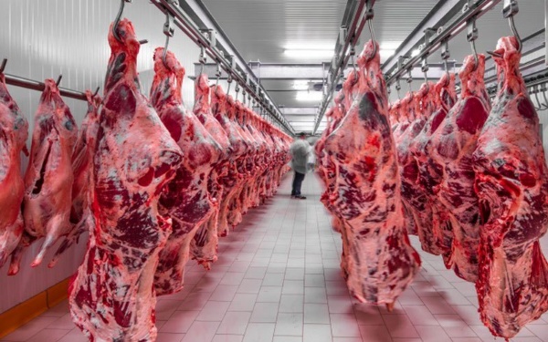 americas-beef-obsession-2_copy_600x375.jpg