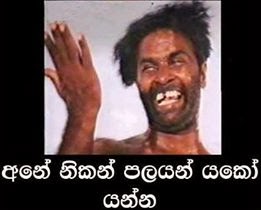 ane-nikan-palayan-yako-yanna-jpg.263799