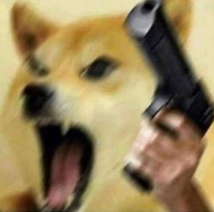 angry-doge-with-gun-meme-template.jpeg