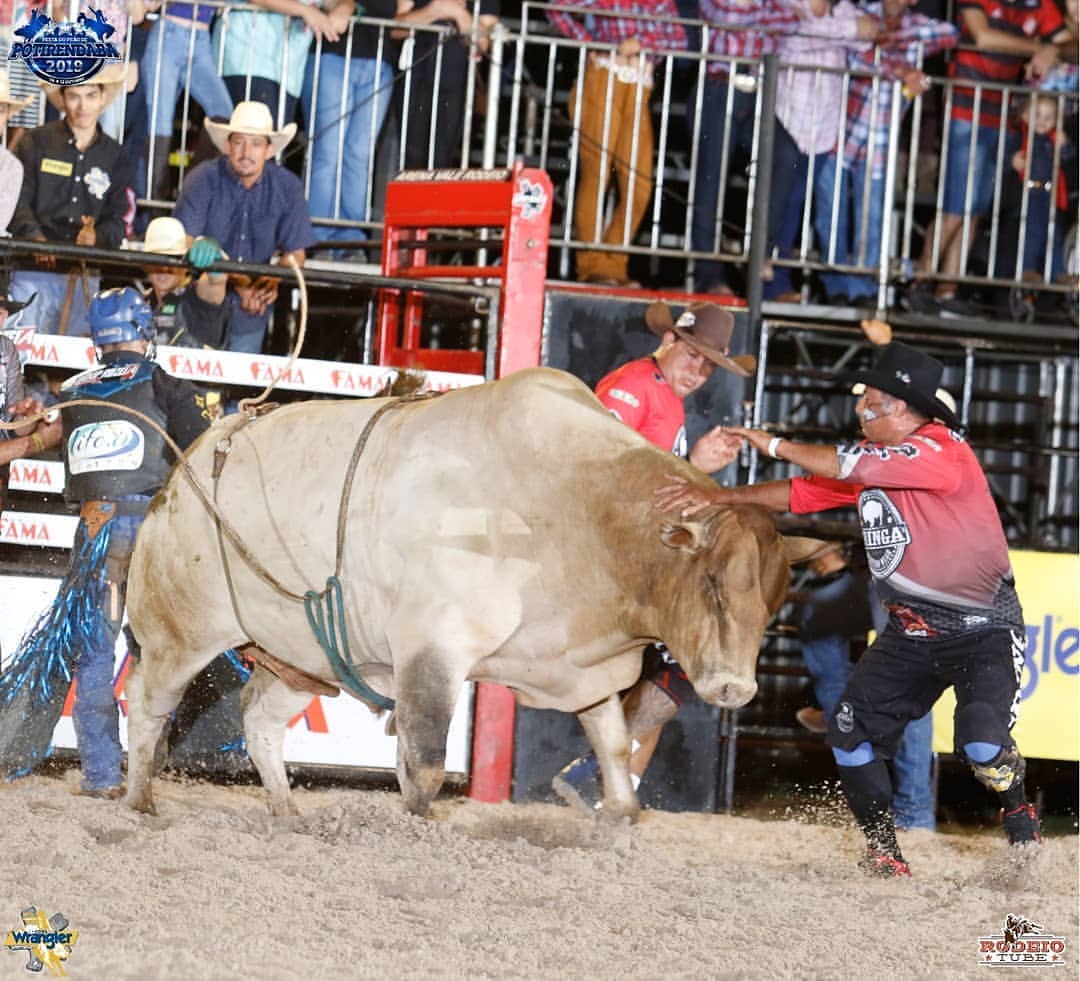 anjosdasarenas_151369162_181934517062394_6195361774260225545_n.jpg