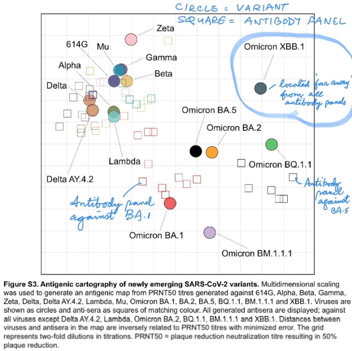 Antigenic_cartography.jpg