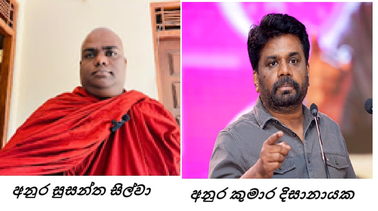 anura.jpg