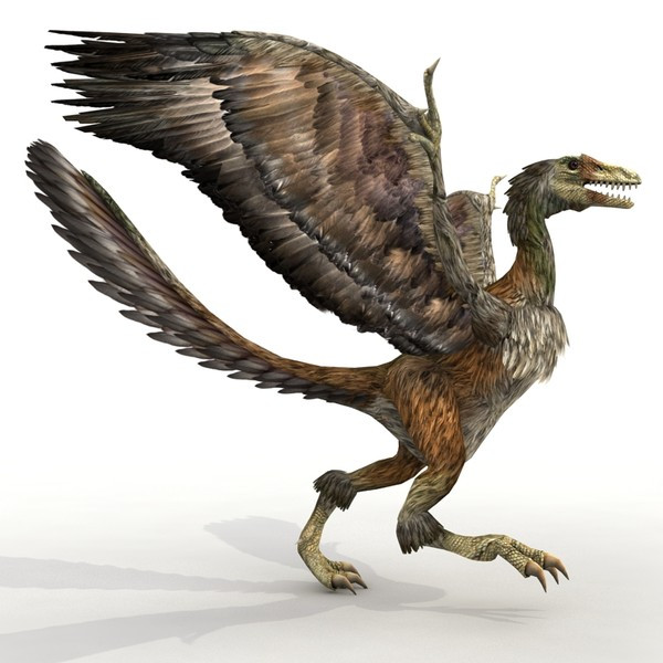 archaeopteryx.jpg