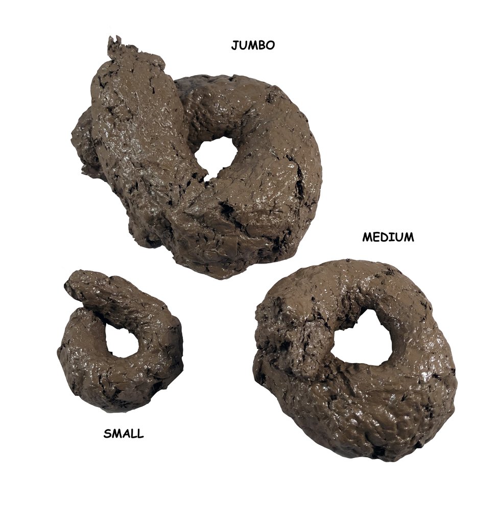 Assorted_Fake_Poop_1024x1024.jpg
