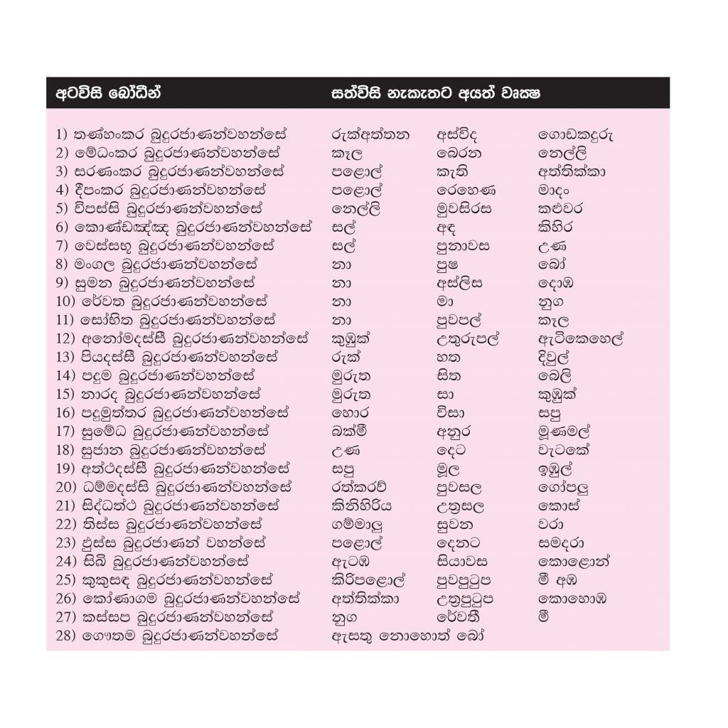 astrology-1024x1024.jpg
