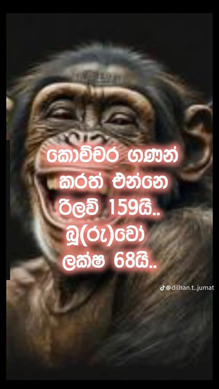 B0260B8F-B95D-4D9E-827D-6DECB4D560A2.jpeg