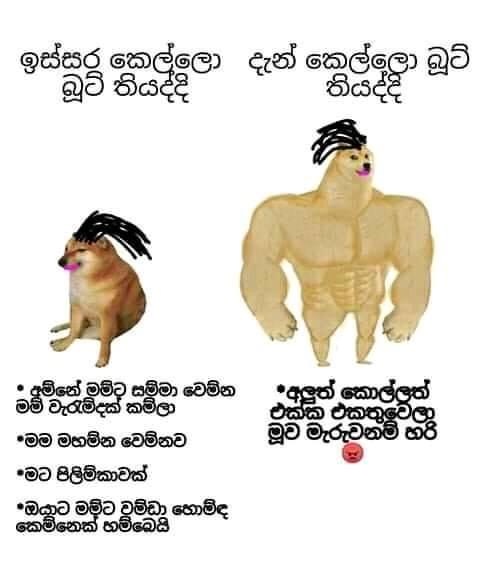 B30CF2EE-D1F0-4C37-A7FC-591D5B41FD4B.jpeg