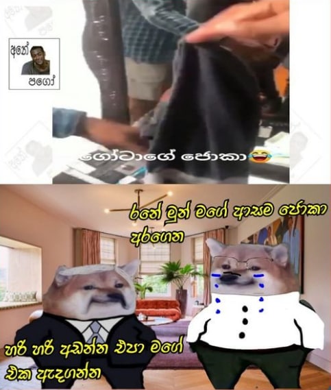 B4FC77B2-888D-48E7-9B05-778F9233791C.jpeg