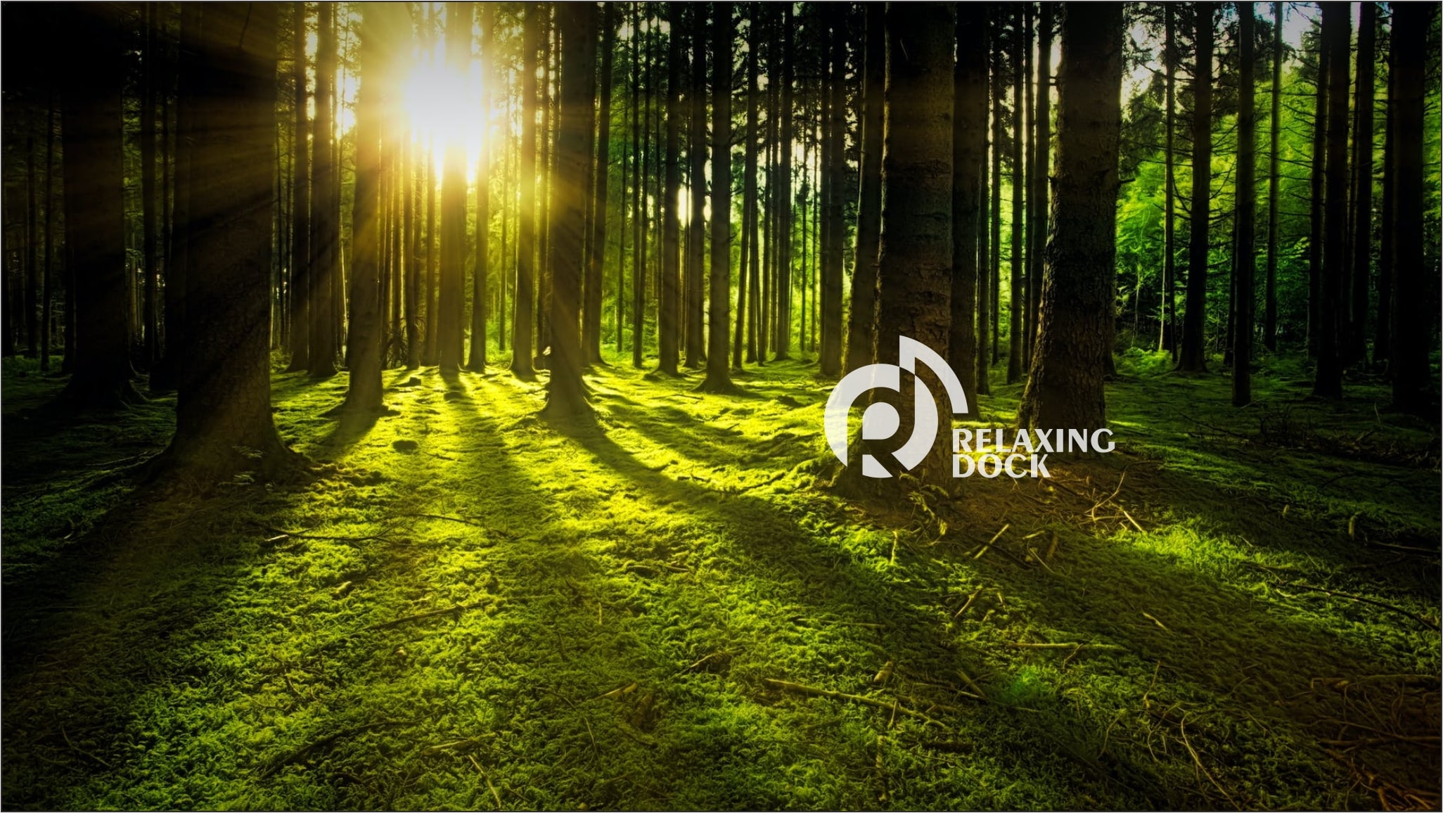 Banner1-min.jpg