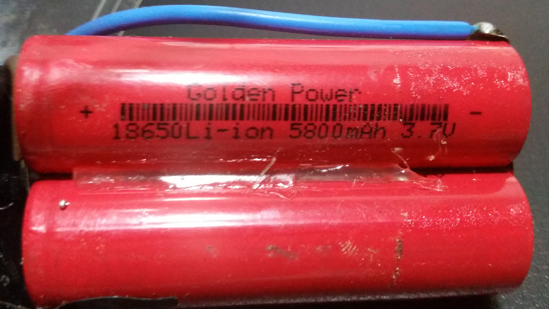 bat 02.jpg