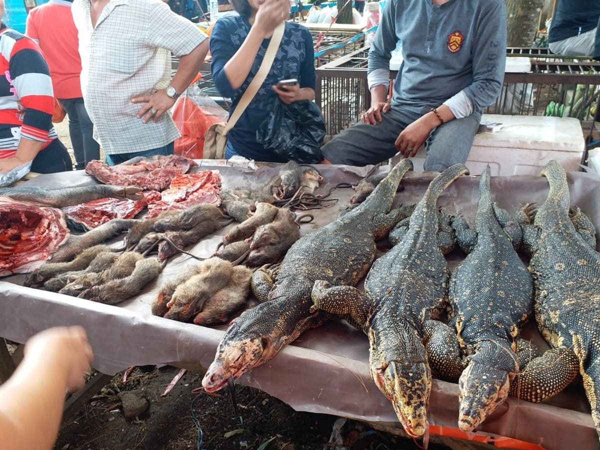 bats-dogs-rats-and-reptiles-on-sale-in-tomohon-market-indonesia-march-28th-2020-1.jpg