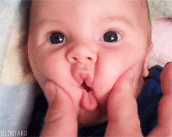 bb.gif