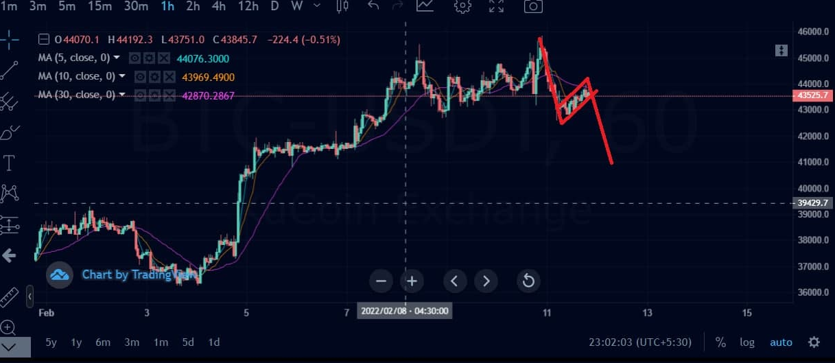 Bear Flag.png