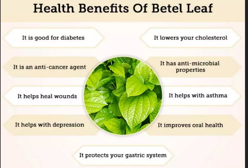 beet.PNG