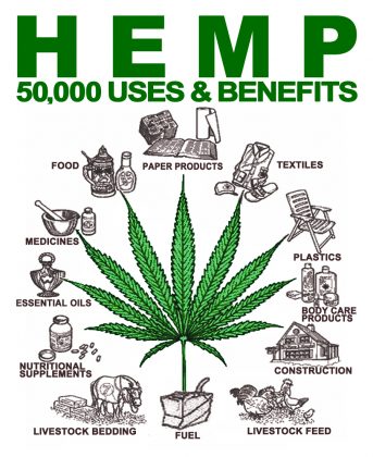 BenefitsofHemp-343x420.jpeg