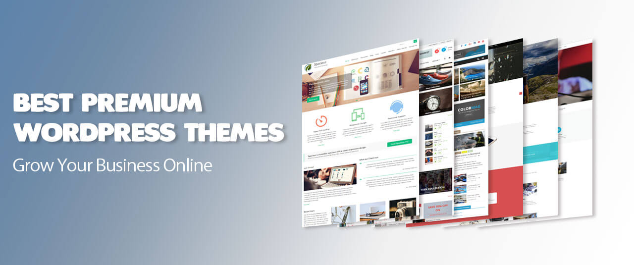 best-premium-wordpress-themes.jpg