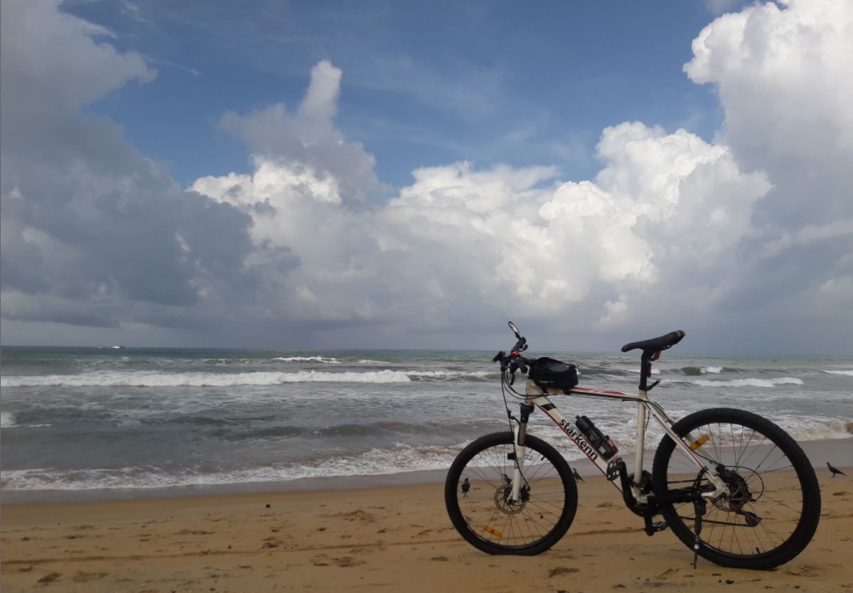 bicycle.JPG