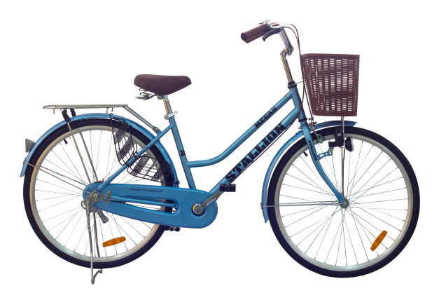bicycle.png