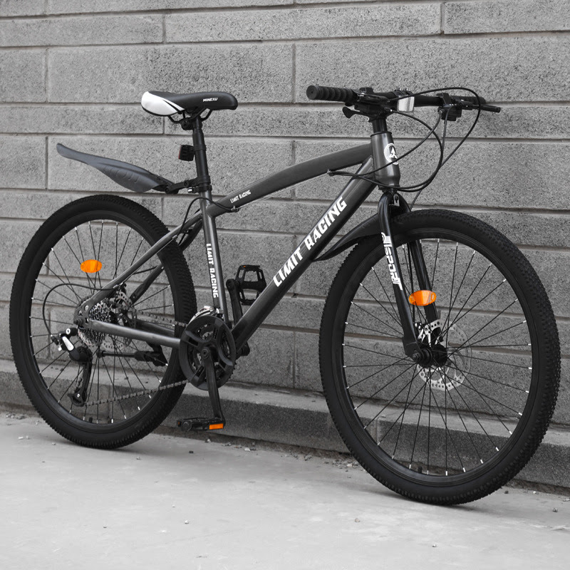 bike.jpg