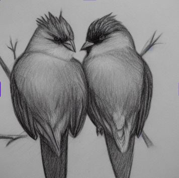 birds.JPG