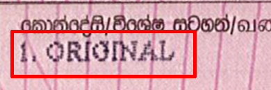 Book copy.jpg