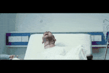 BraveSpeedyGemsbok-size_restricted (1) (1).gif